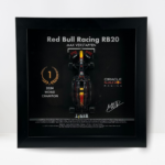 Max Verstappen 2024 World Champion Red Bull RB20