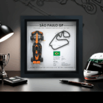Lando Norris Victory at the 2025 Brazilian Formula 1 - São Paulo Interlagos F1 GP - Gift Idea